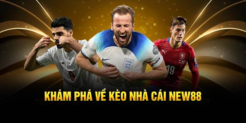 Khám phá về kèo nhà cái New88