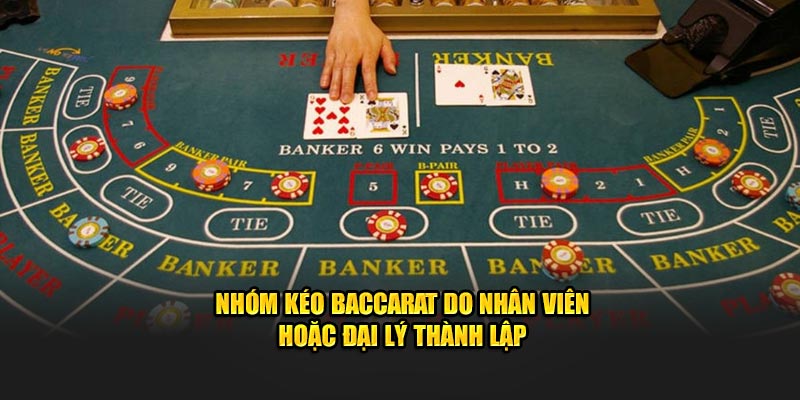 Nhóm kéo Baccarat do nhân viên hoặc đại lý thành lập